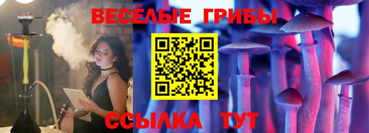 Галлюциногенные грибы Cubensis  Вход с VPN  Буйнакск 